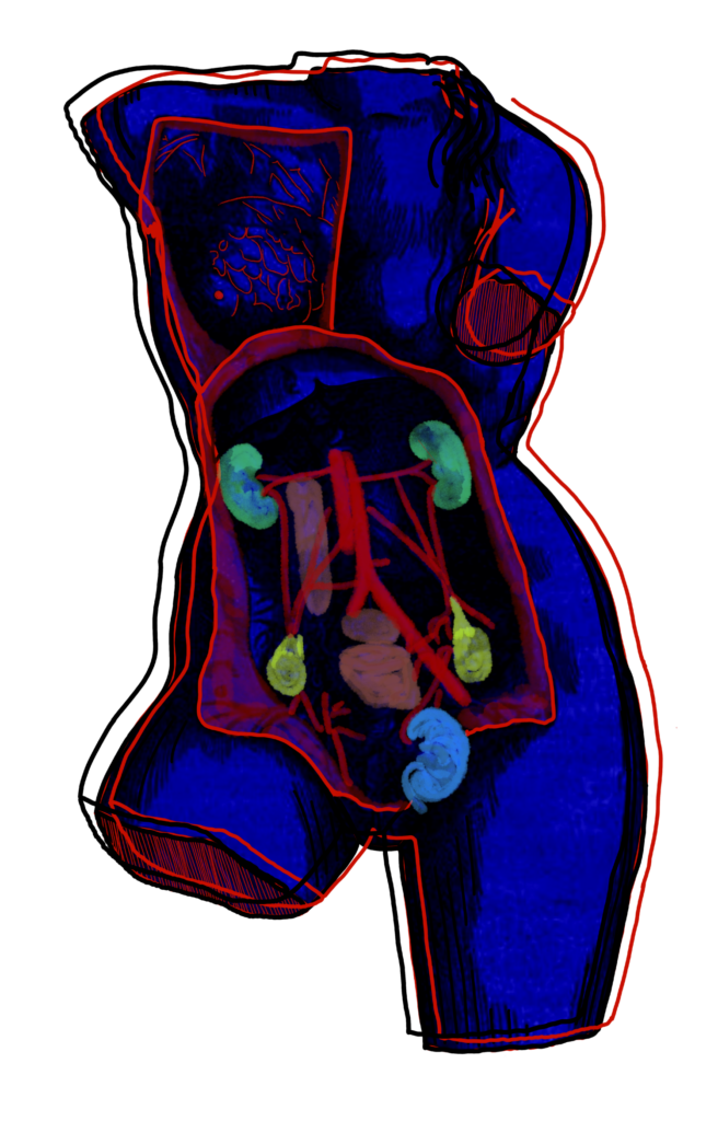 Ilustración_sin_título 4